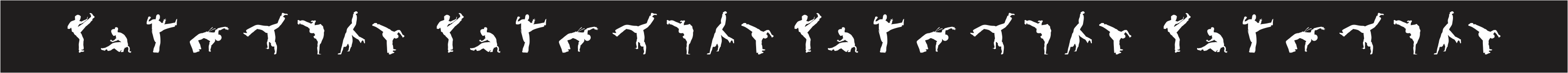 a furia do negro barra png